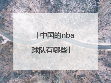 「中国的nba球队有哪些」nba哪些球队有自己的球馆