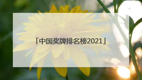 「中国奖牌排名榜2021」中国奖牌排名榜2008