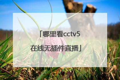 哪里看cctv5在线无插件直播