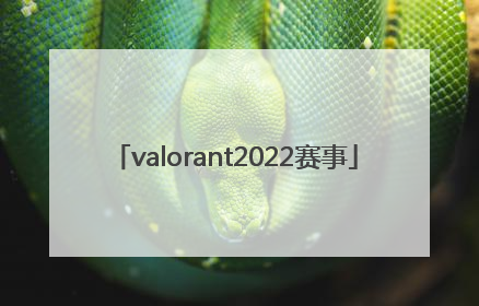 「valorant2022赛事」valorant2022世界赛赛程